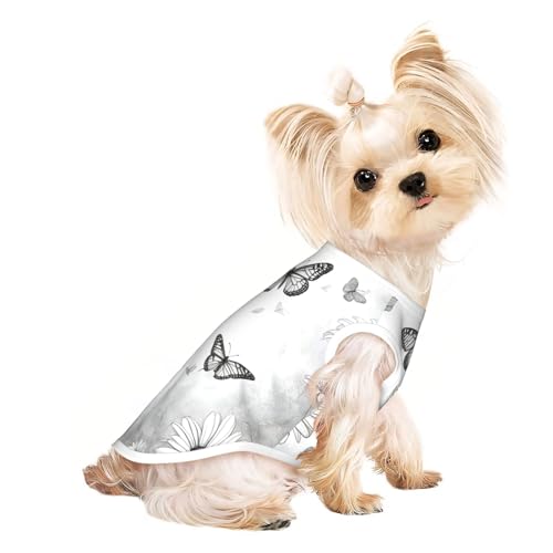 Hundeshirt mit Schmetterlings-Gänseblümchen-Aufdruck, Sommer, leicht, weich, atmungsaktiv, dehnbar, für Katzen und Hunde Hundeshirt mit Schmetterlings-Gänseblümchen-Aufdruck, Sommer, leicht, weich, atmungsaktiv, dehnbar, für Katzen und Hunde von DUWAA