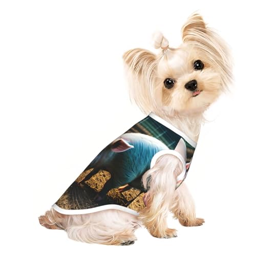 Hundeshirt mit Schweinefarm-Aufdruck, Sommer, leicht, weich, atmungsaktiv, dehnbar, für Katzen und Hunde Hundeshirt mit Schweinefarm-Aufdruck, Sommer, leicht, weich, atmungsaktiv, dehnbar, für Katzen und Hunde von DUWAA