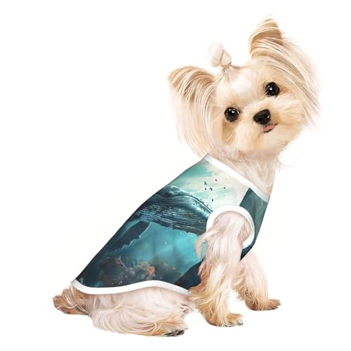 Hundeshirt mit Unterwasserwal-Druck, Sommer, leicht, weich, atmungsaktiv, dehnbar, für Katzen und Hunde Hundeshirt mit Unterwasserwal-Druck, Sommer, leicht, weich, atmungsaktiv, dehnbar, für Katzen und Hunde von DUWAA