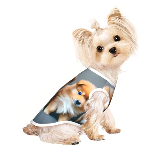 Hundeshirt mit Zwergspitzen, für den Sommer, dehnbar, ärmellos, Tanktop, Hundeweste von DUWAA