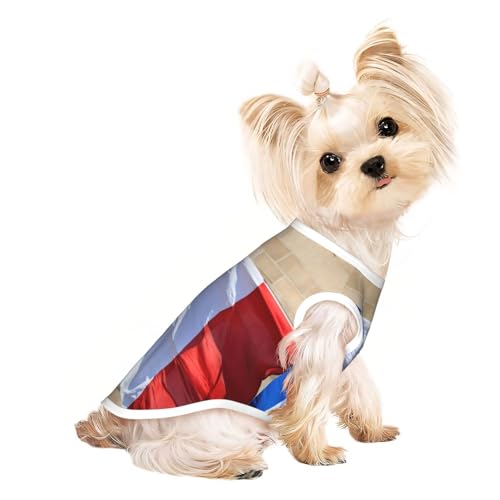 Hundeshirt mit französischer Flagge, Sommer, leicht, weich, atmungsaktiv, dehnbar, für Katzen und Hunde Hundeshirt mit französischer Flagge, Sommer, leicht, weich, atmungsaktiv, dehnbar, für Katzen und Hunde von DUWAA