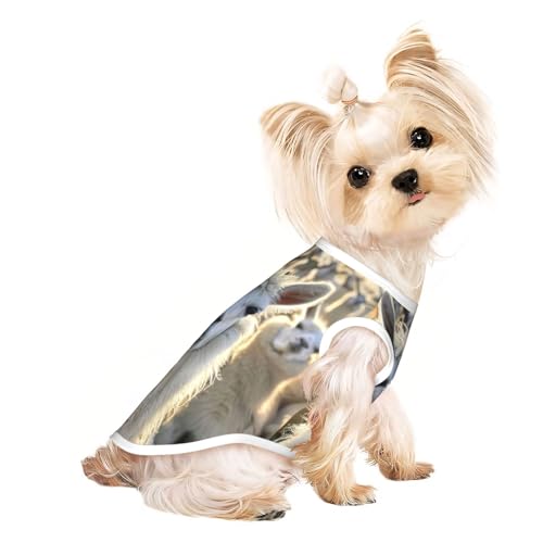 Hundeshirt mit süßem Lama-Druck, für den Sommer, dehnbar, für Katzen, Hunde, ärmelloses Tank-Top, Hundeweste Hundeshirt mit süßem Lama-Druck, für den Sommer, dehnbar, für Katzen, Hunde, ärmelloses Tank-Top, Hundeweste von DUWAA