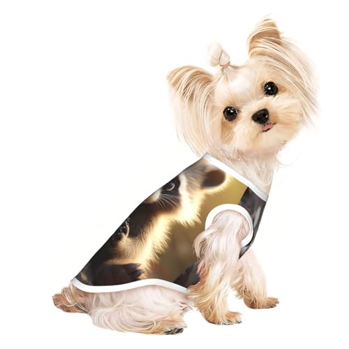 Hundeshirt mit süßem Waschbär-Druck, für den Sommer, leicht, weich, atmungsaktiv, dehnbar, für Katzen und Hunde Hundeshirt mit süßem Waschbär-Druck, für den Sommer, leicht, weich, atmungsaktiv, dehnbar, für Katzen und Hunde von DUWAA