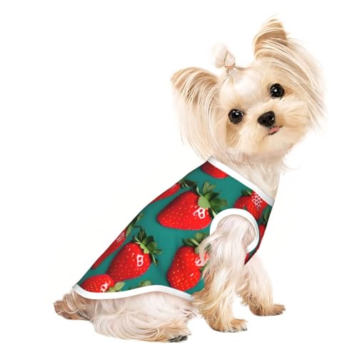 Hundeshirt mit vielen Erdbeer-Aufdruck, für den Sommer, leicht, weich, atmungsaktiv, dehnbar, für Katzen und Hunde Hundeshirt mit vielen Erdbeer-Aufdruck, für den Sommer, leicht, weich, atmungsaktiv, dehnbar, für Katzen und Hunde von DUWAA