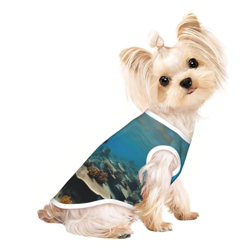 Unterwasser-Hunde-Shirt, Sommer, leicht, weich, atmungsaktiv, dehnbar, für Katzen und Hunde Unterwasser-Hunde-Shirt, Sommer, leicht, weich, atmungsaktiv, dehnbar, für Katzen und Hunde von DUWAA