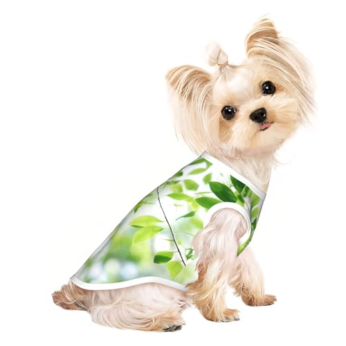 Weißes, natürliches grünes Hunde-Shirt, Sommer, leicht, weich, atmungsaktiv, dehnbar, für Katzen und Hunde Weißes, natürliches grünes Hunde-Shirt, Sommer, leicht, weich, atmungsaktiv, dehnbar, für Katzen und Hunde von DUWAA