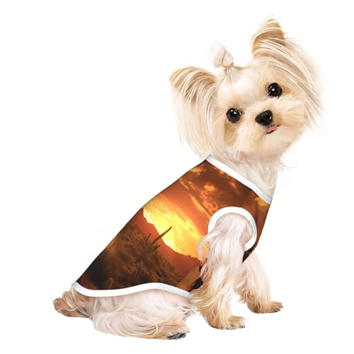 West Hunde-Shirt, Motiv: Wüstenkaktus mit Cowboys, reitende Pferde, 3-teilig, Sommer, leicht, weich, atmungsaktiv, dehnbar, für Katzen und Hunde West Hunde-Shirt, Motiv: Wüstenkaktus mit Cowboys, reitende Pferde, 3-teilig, Sommer, leicht, weich, atmungsaktiv, dehnbar, für Katzen und Hunde von DUWAA