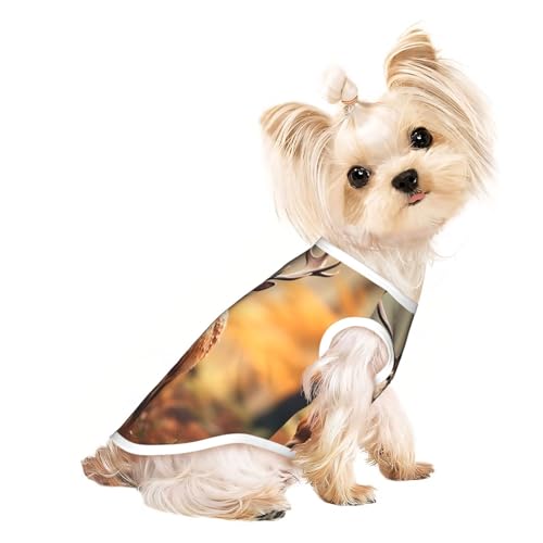 Whitetail Hunde-Shirt, Motiv: Rehkitz in der Wildnis, Hirsch-3-Druck, Sommer, leicht, weich, atmungsaktiv, dehnbar, für Katzen und Hunde Whitetail Hunde-Shirt, Motiv: Rehkitz in der Wildnis, Hirsch-3-Druck, Sommer, leicht, weich, atmungsaktiv, dehnbar, für Katzen und Hunde von DUWAA
