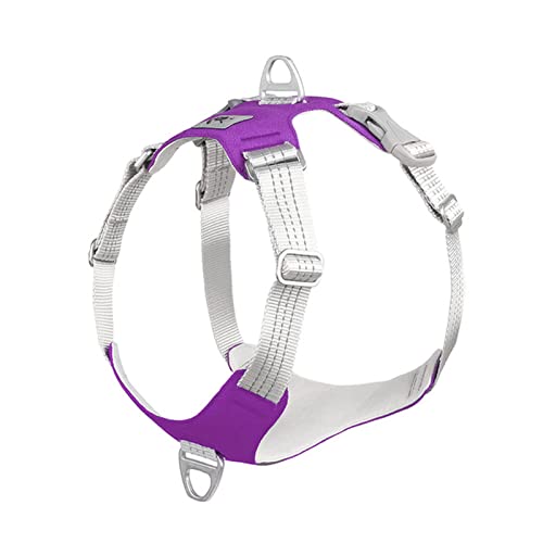 Seil Haustier Gepolsterter Haustier Hund Kabelbaum Kein Zug Hund Reflektierende Brustgurt Riemenweste Einstellbar Outdoor Training Schutzgeschirr Haustierleine Mit (Color : Purple, Size : L) von DUnLap