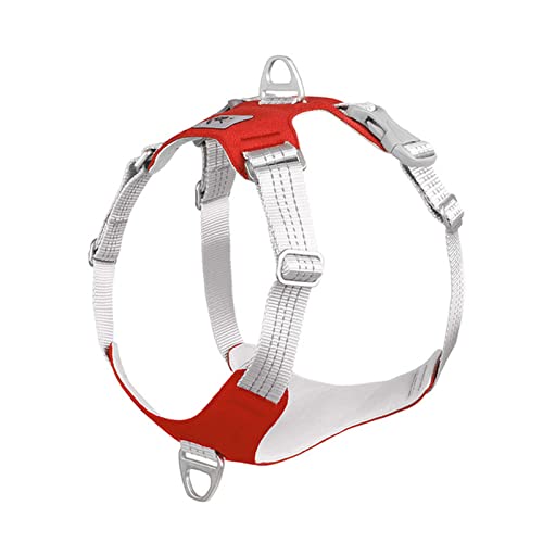 Seil Haustier Gepolsterter Haustier Hund Kabelbaum Kein Zug Hund Reflektierende Brustgurt Riemenweste Einstellbar Outdoor Training Schutzgeschirr Haustierleine Mit (Color : Red, Size : L) von DUnLap