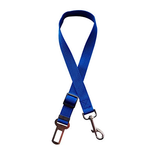 Seil Haustier Haustier liefert Hundekatze Auto Sitzgürtel Bleileine Nylon Sterbar for Pitbull Welpen Kätzchen Katze Teddy Pet Zubehör Reiseclip Haustierleine Mit (Color : Blue, Size : 45-72cm Width von DUnLap