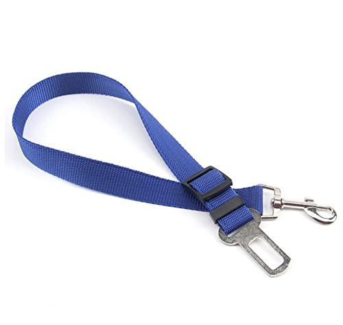 Seil Haustier Sicherheitsgurt Harness Leine Clip Pet Hund Car Belt Security Halten Sie Ihren Hund sicher Haustierleine Mit (Color : Blue, Size : One Size) von DUnLap