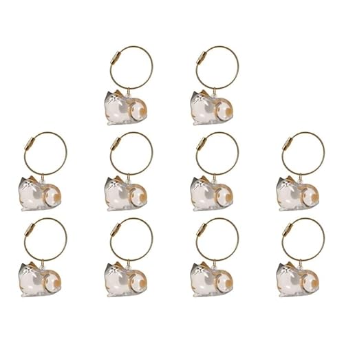 DVERFSWEV-GH Transparente Andenkenbox mit Katzenhaar, Gedenkkapsel for die Tierfellsammlung, dekorativer Schlüsselanhänger, Anhänger, Charm-Liebhaber(10Pcs B) von DVERFSWEV-GH