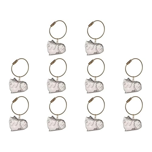 DVERFSWEV-GH Transparente Andenkenbox mit Katzenhaar, Gedenkkapsel for die Tierfellsammlung, dekorativer Schlüsselanhänger, Anhänger, Charm-Liebhaber(10Pcs C) von DVERFSWEV-GH