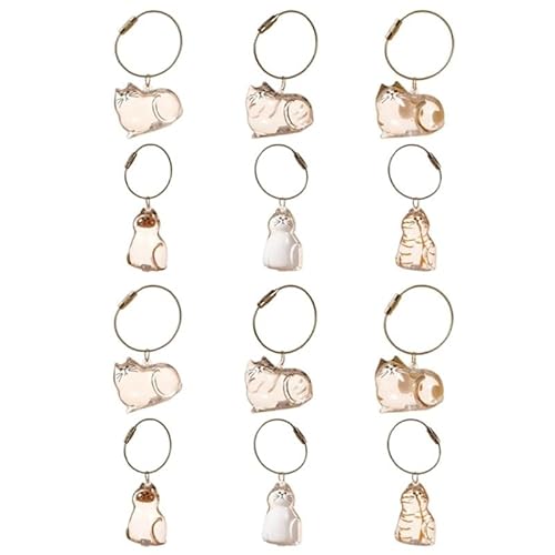 DVERFSWEV-GH Transparente Andenkenbox mit Katzenhaar, Gedenkkapsel for die Tierfellsammlung, dekorativer Schlüsselanhänger, Anhänger, Charm-Liebhaber(12Pcs Mix) von DVERFSWEV-GH