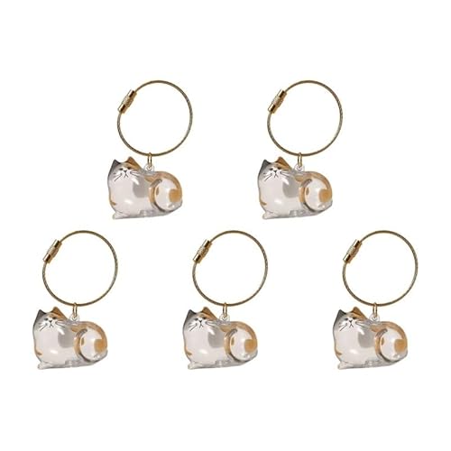 DVERFSWEV-GH Transparente Andenkenbox mit Katzenhaar, Gedenkkapsel for die Tierfellsammlung, dekorativer Schlüsselanhänger, Anhänger, Charm-Liebhaber(5Pcs B) von DVERFSWEV-GH