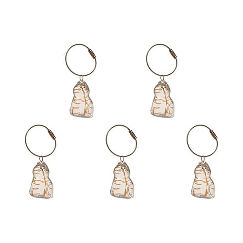 DVERFSWEV-GH Transparente Andenkenbox mit Katzenhaar, Gedenkkapsel for die Tierfellsammlung, dekorativer Schlüsselanhänger, Anhänger, Charm-Liebhaber(5Pcs F) von DVERFSWEV-GH