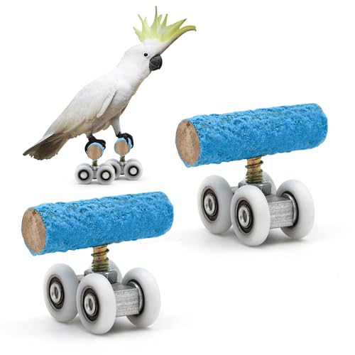 DVHEY Papageien-Rollschuhe, Vogelspielzeug, Holz, Kunststoff, Intelligenz-Training, Haustier-Sittich, Mini-Roller, Schlittschuhe, Skateboard für kleine Vögel, Blau, 2 Stück von DVHEY