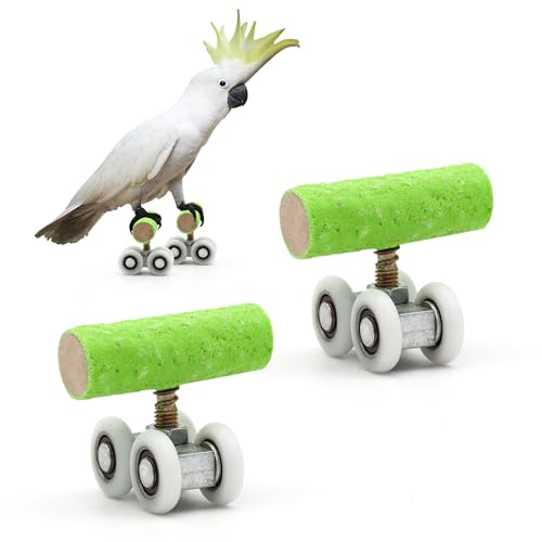 DVHEY Papageien-Rollschuhe, Vogelspielzeug, Holz, Kunststoff, Intelligenz-Training, Haustier-Sittich, Mini-Roller, Schlittschuhe, Skateboard für kleine Vögel, Spielzeug, Grün, 2 Stück von DVHEY