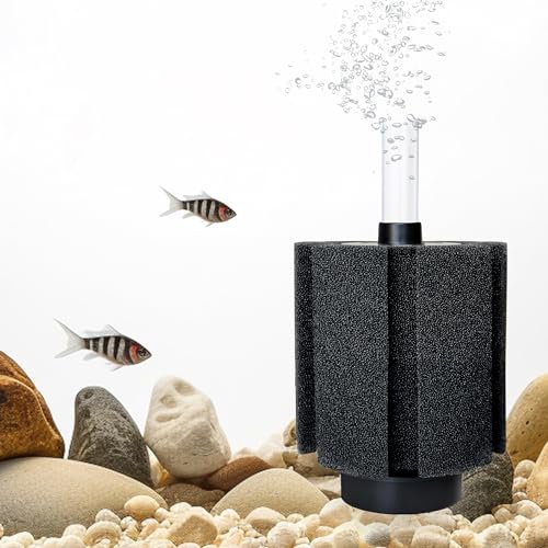 DVHEY Schwammfilter mit Keramik-Medien und Blasen-Diffusor, leiser Aquarium-Nano-Bio-Filterschwamm für Betta, Frittieren, Garnelen, Salzwasser, Süßwasser, Aquarium, M, 1 Stück von DVHEY