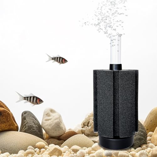 DVHEY Schwammfilter mit Keramikmedien und Blasen-Diffusor, leiser Aquarium-Nano-Bio-Filterschwamm für Betta, Frittieren, Garnelen, Salzwasser, Süßwasser, kleine Aquarien, S, 1 Stück von DVHEY