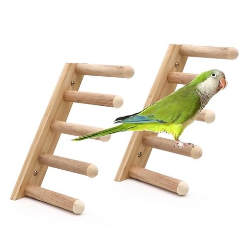 DVHEY Sitzstange für Vögel, Leiter, Kletterstange, Papageienform, Naturholz, Hamsterspielzeug, kleine und mittelgroße Tiere für Käfig-Zubehör, 2 Stück (Leiter-5 Schritt-2p) von DVHEY