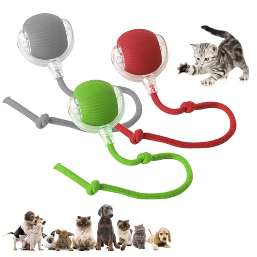 DVHNMK Chewie Viraler Rollball, interaktives rollendes Hundespielzeug, interaktives Katzenballspielzeug, interaktives Katzen- und Hundespielzeug, schnelles Rollen, 360° intelligenter automatischer von DVHNMK