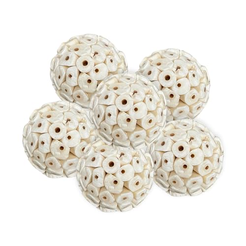 DVOFU Sola-Bälle zum Aufhängen, weich, zum Kauen, Futter, Spielzeug für Liebesvögel, Hamster, Kaninchen, 6 Stück DVOFU Sola-Bälle zum Aufhängen, weich, zum Kauen, Futter, Spielzeug für Liebesvögel, Hamster, Kaninchen, 6 Stück von DVOFU