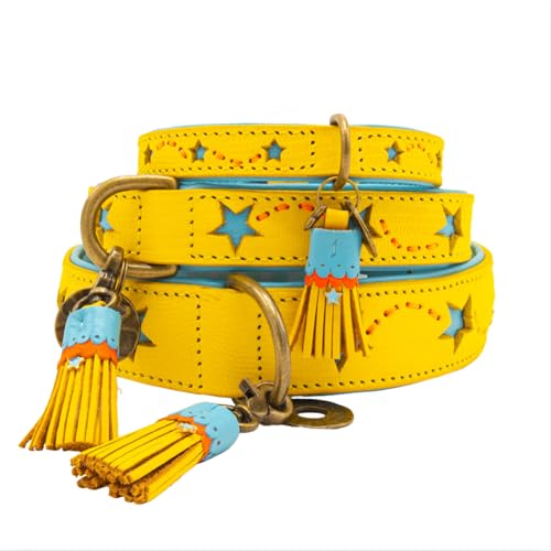 Dog with a Mission - Hundehalsband L | Farbenfroh Gelb, Blau mit Sternen | Boho, Ethno, Urban, Hippie | Große Hunde | Handgemacht | Modisch und Bunt | Aus weichem Echtes Leder | 2,5 cm Breit von Dog with a Mission