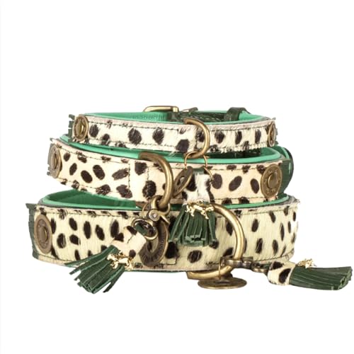 Dog with a Mission - Hundehalsband XXS | Leopard, Grün, Braun | Boho, Ethno, Urban, Hippie | Ideal für kleine Hunde | Handgemacht, Bunt und Modisch Design, Luxe | 2 cm Breit Dog with a Mission - Hundehalsband XXS | Leopard, Grün, Braun | Boho, Ethno, Urban, Hippie | Ideal für kleine Hunde | Handgemacht, Bunt und Modisch Design, Luxe | 2 cm Breit von Dog with a Mission