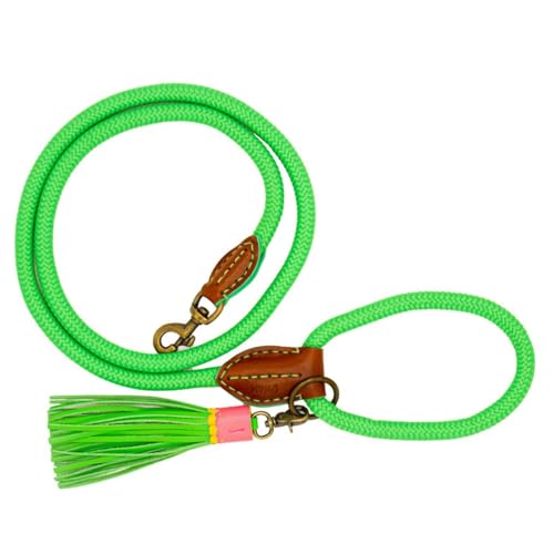 Dog with a Mission - Hundeleine L | Grüne Hundeleine für mittelgroße und große Hunde | Robuste Führleine mit stabiler Karabinerhaken - 155 cm x 1,4 cm | Polyester & Leder - Leicht und natürlich Dog with a Mission - Hundeleine L | Grüne Hundeleine für mittelgroße und große Hunde | Robuste Führleine mit stabiler Karabinerhaken - 155 cm x 1,4 cm | Polyester & Leder - Leicht und natürlich von Dog with a Mission