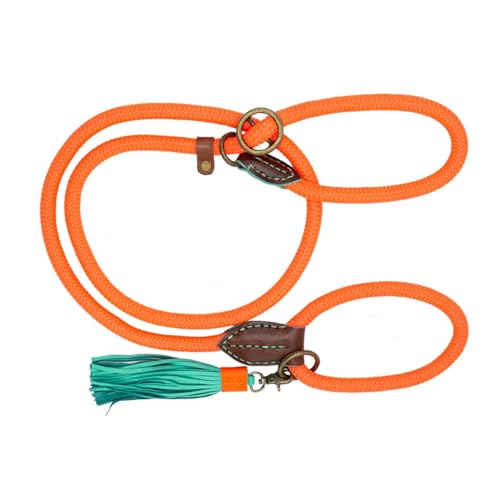 Dog with a Mission - Hundeleine Long John Carrot Cake | Orange Retrieverleine mit Zugstopp | Tauleine für Hunde - 200 x 1,4 cm | Polyester & Leder - Robuste Schlupfleine für kleine und große Hunde Dog with a Mission - Hundeleine Long John Carrot Cake | Orange Retrieverleine mit Zugstopp | Tauleine für Hunde - 200 x 1,4 cm | Polyester & Leder - Robuste Schlupfleine für kleine und große Hunde von Dog with a Mission