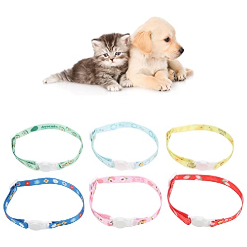 6 Stück niedliche verstellbare Sicherheits-Katzenhalsbänder mit Glöckchen | Perfekt für kleine Katzen und Hunde von DWENGWUN