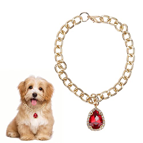 Elegante Halsketten mit Strasssteinen für Haustiere | Anpassungsfähigkeit, lebendige Farben und auffälliges Hundehalsband mit Anhänger für modische kleine bis mittelgroße Hunde (M) von DWENGWUN