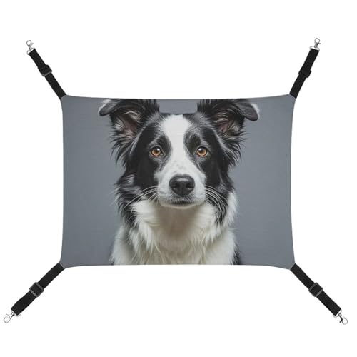 DWTJKMS Border Collie Katzenhängematte, weiche Schlafhängematten, verstellbare Haustierhängematte für alle Jahreszeiten, für Katzen, Frettchen, Welpen, Kaninchen, Kleintiere (klassisch) von DWTJKMS