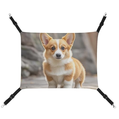 DWTJKMS Corgi Hunde Katzen Hängematte Weiche Schlafhängematten Verstellbare Haustier Hängematte Ganzjahresgebrauch für Katzen, Frettchen, Welpen, Kaninchen, Kleintiere (Klassisch) von DWTJKMS