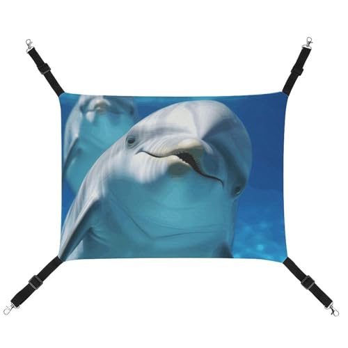 DWTJKMS Delphin mit einem Lächeln Katzenhängematte weiche Schlafhängematten, verstellbare Haustierhängematte für alle Jahreszeiten, für Katzen, Frettchen, Welpen, Kaninchen, Kleintiere (klassisch) DWTJKMS Delphin mit einem Lächeln Katzenhängematte weiche Schlafhängematten, verstellbare Haustierhängematte für alle Jahreszeiten, für Katzen, Frettchen, Welpen, Kaninchen, Kleintiere (klassisch) von DWTJKMS