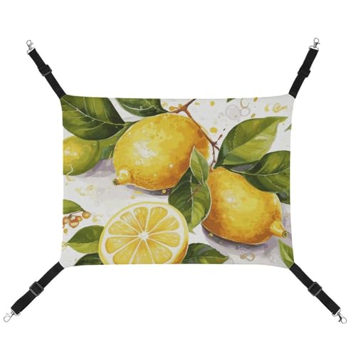DWTJKMS Fruits Lemon Katzenhängematte, weiche Schlafhängematten, verstellbare Haustierhängematte für alle Jahreszeiten, für Katzen, Frettchen, Welpen, Kaninchen, Kleintiere (klassisch) von DWTJKMS