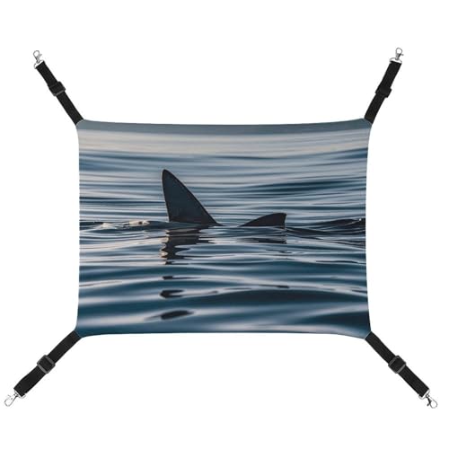 DWTJKMS Haifischflossen-Wasser-Katzen-Hängematte, weiche Schlaf-Hängematten, verstellbare Haustier-Hängematte, ganzjähriger Gebrauch für Katzen, Frettchen, Welpen, Kaninchen, Kleintiere (klassisch) DWTJKMS Haifischflossen-Wasser-Katzen-Hängematte, weiche Schlaf-Hängematten, verstellbare Haustier-Hängematte, ganzjähriger Gebrauch für Katzen, Frettchen, Welpen, Kaninchen, Kleintiere (klassisch) von DWTJKMS