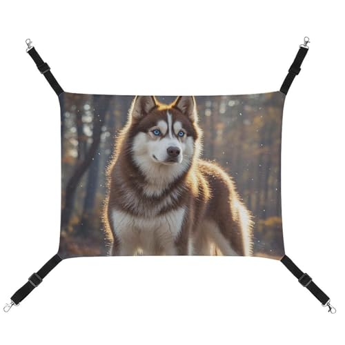 DWTJKMS Husky Hängematte für Hunde und Katzen, weiche Schlafhängematten, verstellbare Haustierhängematte für alle Jahreszeiten, für Katzen, Frettchen, Welpen, Kaninchen, Kleintiere (klassisch) von DWTJKMS