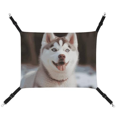 DWTJKMS Husky Piquant Hunde- und Katzenhängematte weiche Schlafhängematten, verstellbare Haustierhängematte für alle Jahreszeiten, für Katzen, Frettchen, Welpen, Kaninchen, Kleintiere (klassisch) von DWTJKMS