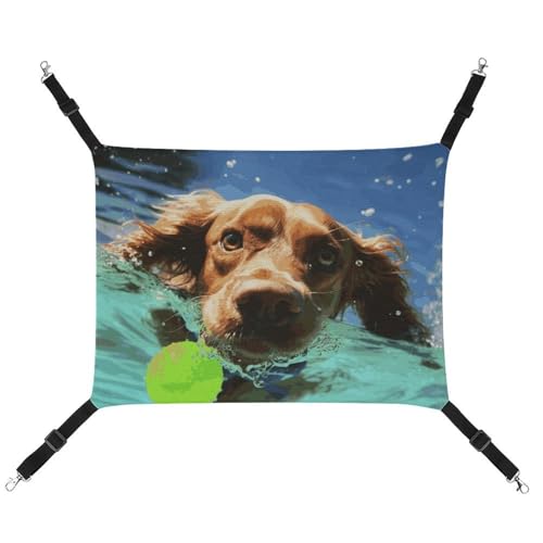 DWTJKMS Lustige Schwimm-Hängematte für Hunde und Katzen, weiche Schlaf-Hängematten, verstellbare Haustier-Hängematte, Ganzjahresgebrauch für Katzen, Frettchen, Welpen, Kaninchen, Kleintiere (klassisch DWTJKMS Lustige Schwimm-Hängematte für Hunde und Katzen, weiche Schlaf-Hängematten, verstellbare Haustier-Hängematte, Ganzjahresgebrauch für Katzen, Frettchen, Welpen, Kaninchen, Kleintiere (klassisch von DWTJKMS
