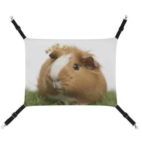 DWTJKMS Meerschweinchen-Katzen-Hängematte, weiche Schlaf-Hängematten, verstellbare Haustier-Hängematte, Ganzjahresgebrauch für Katzen, Frettchen, Welpen, Kaninchen, Kleintiere (klassisch) von DWTJKMS