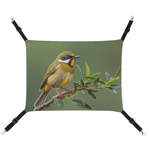 DWTJKMS Outdoor olivgrüne blühende Vögel, Katzen-Hängematte, weiche Schlaf-Hängematten, verstellbare Haustier-Hängematte, ganzjähriger Gebrauch für Katzen, Frettchen, Welpen, Kaninchen, Kleintiere DWTJKMS Outdoor olivgrüne blühende Vögel, Katzen-Hängematte, weiche Schlaf-Hängematten, verstellbare Haustier-Hängematte, ganzjähriger Gebrauch für Katzen, Frettchen, Welpen, Kaninchen, Kleintiere von DWTJKMS