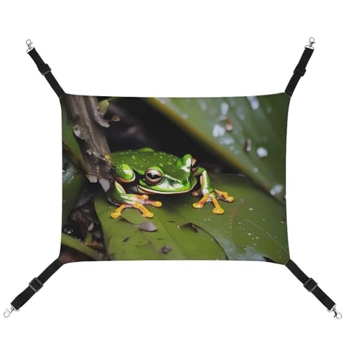 DWTJKMS Peace Tree Frosch Katzenhängematte, weiche Schlafhängematten, verstellbare Haustierhängematte für alle Jahreszeiten, für Katzen, Frettchen, Welpen, Kaninchen, Kleintiere (klassisch) von DWTJKMS