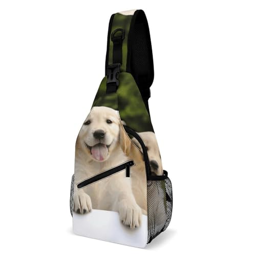 Golden Retriever Welpen-Tragetasche für Männer und Frauen, wasserdichte Brusttasche, bedruckt, Kreuz-Brusttasche, diagonal, Fitnessstudio, Sport, Reisen, Wandern, Tagesrucksack Golden Retriever Welpen-Tragetasche für Männer und Frauen, wasserdichte Brusttasche, bedruckt, Kreuz-Brusttasche, diagonal, Fitnessstudio, Sport, Reisen, Wandern, Tagesrucksack von DWTJKMS