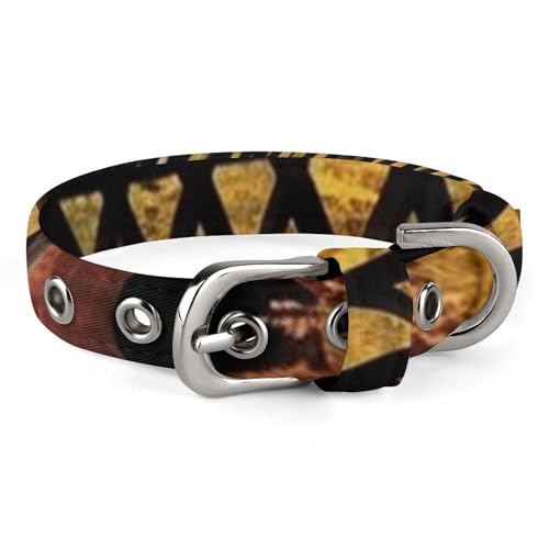 Albany Hundehalsband mit verdeckter Brücke, verstellbar, weich und bequem, Welpenhalsbänder mit Metallschnalle, Haustierhalsband für kleine, mittelgroße Haustiere Albany Hundehalsband mit verdeckter Brücke, verstellbar, weich und bequem, Welpenhalsbänder mit Metallschnalle, Haustierhalsband für kleine, mittelgroße Haustiere von DWVSFJM