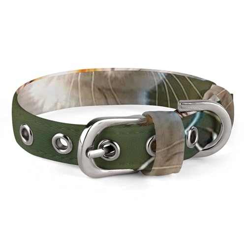 Angelhalsband für Katzen, verstellbar, weich und bequem, Welpenhalsbänder mit Metallschnalle, Haustierhalsband für kleine, mittelgroße Haustiere Angelhalsband für Katzen, verstellbar, weich und bequem, Welpenhalsbänder mit Metallschnalle, Haustierhalsband für kleine, mittelgroße Haustiere von DWVSFJM