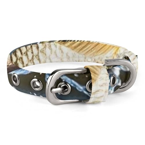 Big Mouth Bass Bites Bait Hundehalsband, verstellbar, weich und bequem, Welpenhalsband mit Metallschnalle, Haustierhalsband für kleine, mittelgroße Haustiere Big Mouth Bass Bites Bait Hundehalsband, verstellbar, weich und bequem, Welpenhalsband mit Metallschnalle, Haustierhalsband für kleine, mittelgroße Haustiere von DWVSFJM