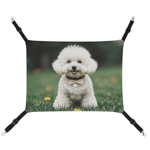 DWVSFJM Bichon Frisé-Hängematte, Hund auf dem Gras, verstellbare Hängematte, schlafende Katze, Fensterpolster, Haustier-Hängematte, weiches Bett für Katzen, Kaninchen oder andere Kleintiere DWVSFJM Bichon Frisé-Hängematte, Hund auf dem Gras, verstellbare Hängematte, schlafende Katze, Fensterpolster, Haustier-Hängematte, weiches Bett für Katzen, Kaninchen oder andere Kleintiere von DWVSFJM